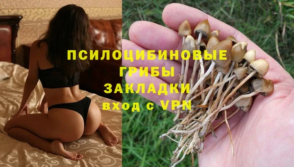 тгк Бронницы