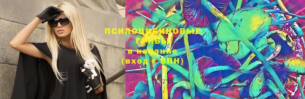 тгк Бронницы